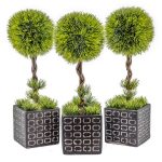 Contemporary Green Topiary (3)